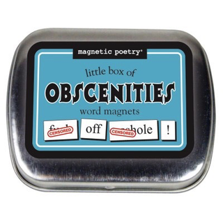 Obscene Word Magnets for Adults Profanity-Filled Magnetic Fun