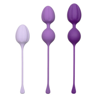 Personal Pelvic Trainer Purple Three-Step Kegel Weights for Pelvic Floor Strength