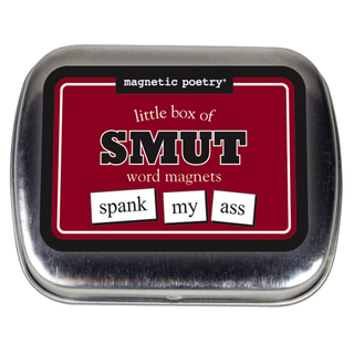 Smut Word Magnet Set Create Dirty Poems, Flirty Messages, and Sexy Phrases