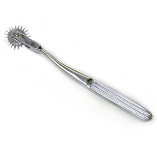 Wartenberg Wheel Sensory Play Toy for Tickly to Intense Sensations