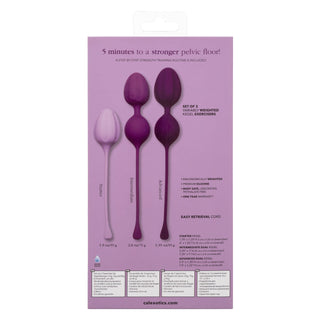 Personal Pelvic Trainer Purple Three-Step Kegel Weights for Pelvic Floor Strength
